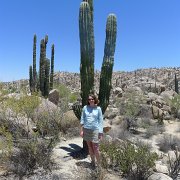 Baja2011 1059 : Baja2011